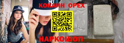 дмт Сланцы