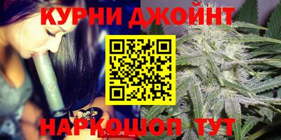 дмт Сланцы